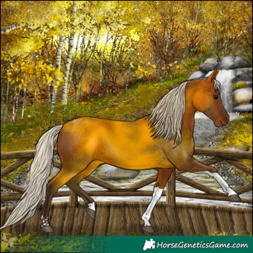Horse Color:Silver Brown Tobiano 