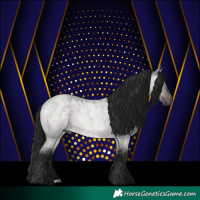 Horse Color:Gray Platinum Brown Roan Dun 