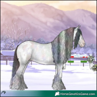 Horse Color:Nacre White Spotted Sable Champagne Chinchilla Ice Roan Onyx Rabicano 