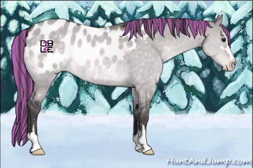 Horse Color:Platinum Painted Buckskin Dun Sabino Blanket