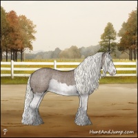 Horse Color:Liver Red Dun Mushroom Splash Rabicano 