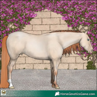 Horse Color:Classic Champagne Pearl Dun 