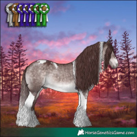 Horse Color:Platinum Chocolate Brown Dun Tobiano 