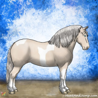 Horse Color:Cremello Tobiano 