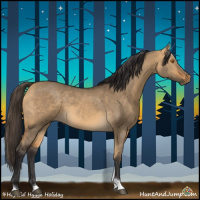 Horse Color:Buckskin Dun Tobiano 