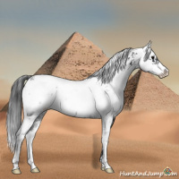 Horse Color:Black Sabino
