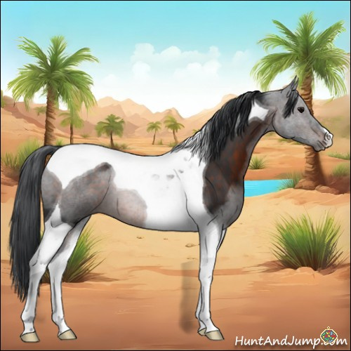 Horse Color:Brown Tobiano 