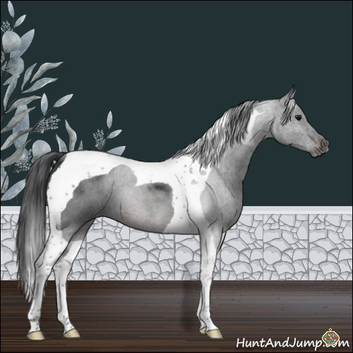 Horse Color:Brown Tobiano