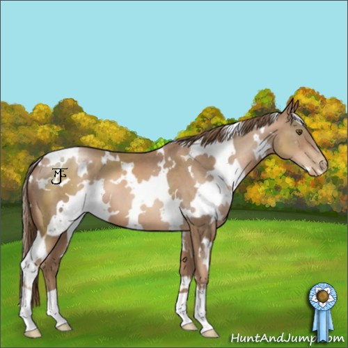 Horse Color:White Spotted Liver Chestnut Pearl 