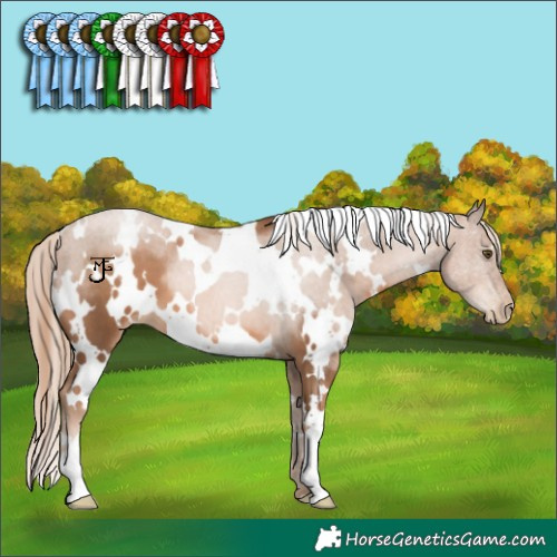 Horse Color:White Spotted Liver Chestnut Pearl 