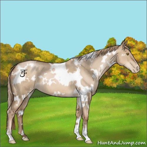 Horse Color:White Spotted Liver Red Dun Pearl 