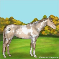 Horse Color:White Spotted Liver Red Dun Pearl