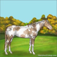 Horse Color:White Spotted Liver Chestnut Pearl 