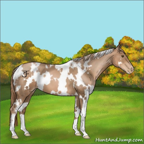 Horse Color:White Spotted Liver Chestnut Pearl 