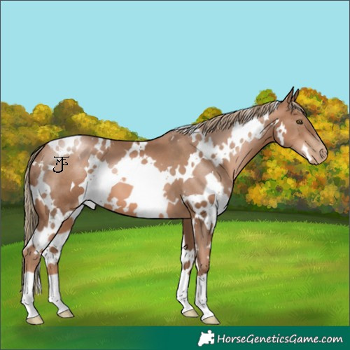 Horse Color:White Spotted Liver Chestnut Pearl 