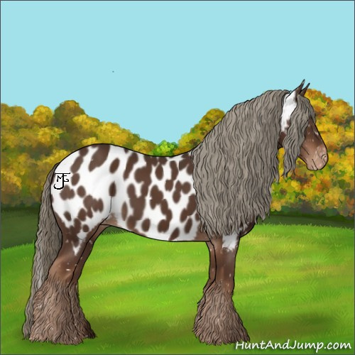 Horse Color:Liver Chestnut Near Leopard 