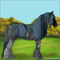 Horse Color:ERROR: UNKNOWN ANOMALY