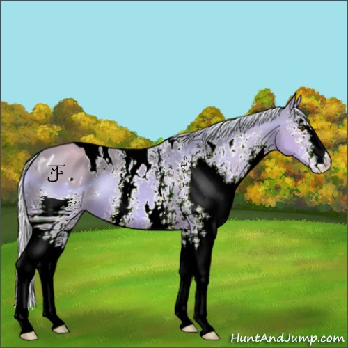 Horse Color:ERROR: UNKNOWN ANOMALY