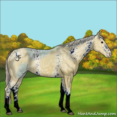 Horse Color:ERROR: UNKNOWN ANOMALY