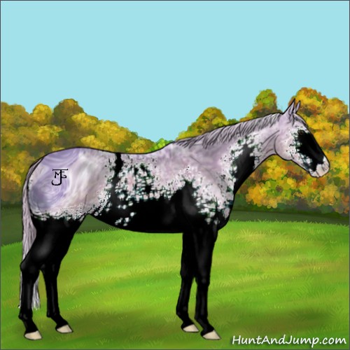 Horse Color:ERROR: UNKNOWN ANOMALY
