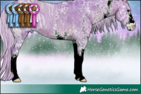 Horse Color:ERROR: UNKNOWN ANOMALY