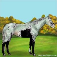 Horse Color:Watercolor White Spotted Silver Brown Ice