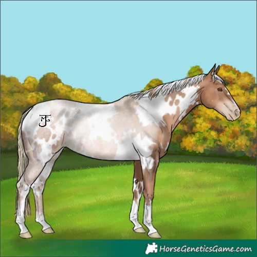 Horse Color:White Spotted Liver Chestnut Pearl 