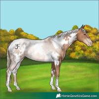 Horse Color:White Spotted Liver Chestnut Pearl 