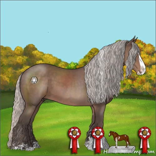 Horse Color:Silver Black Sabino Splash 
