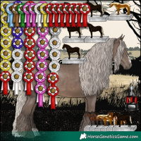 Horse Color:Silver Black Sabino