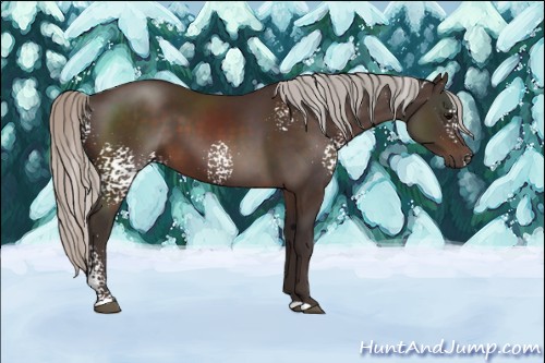Horse Color:White Spotted Silver Brown 