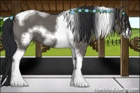 Horse Color:Grullo Sabino Tobiano Frame 