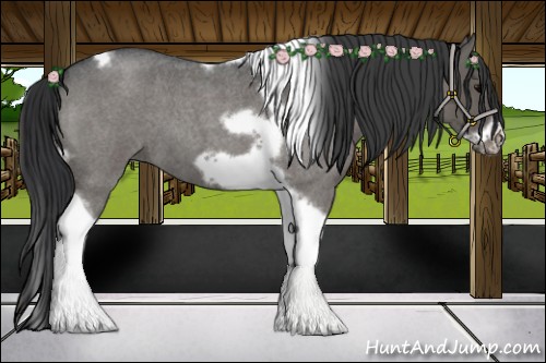 Horse Color:Blue Roan Tobiano Frame 