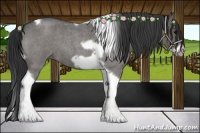 Horse Color:Blue Roan Tobiano Frame 