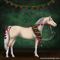 Horse Color:Silver Classic Champagne Dun Splash Frame 