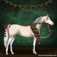 Horse Color:Silver Classic Champagne Dun Splash Frame 