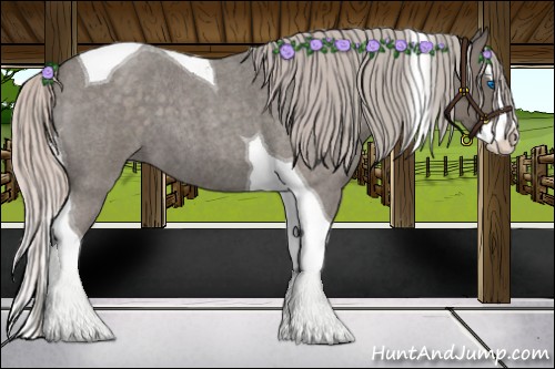 Horse Color:Silver Blue Roan Splash Tobiano