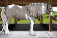Horse Color:Silver Blue Roan Splash Tobiano