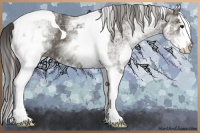 Horse Color:White Spotted Smoky Black Splash Tobiano 