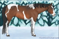 Horse Color:Bay Splash Tobiano Rabicano 