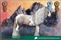 Horse Color:Liver Chestnut Sabino Splash Tobiano Rabicano