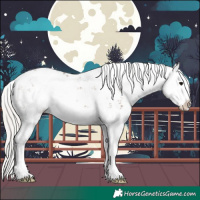 Horse Color:Silver Black Sabino Splash