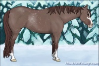 Horse Color:Chocolate Grullo Sabino 