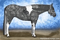 Horse Color:Black Ice Tobiano 
