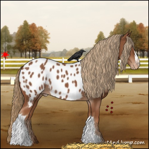 Horse Color:Chestnut Near Leopard 