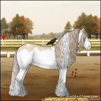 Horse Color:White Spotted Palomino Roan Dun Splash Frame Varnish 