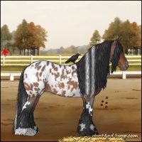 Horse Color:White Spotted Bay Roan Near Leopard