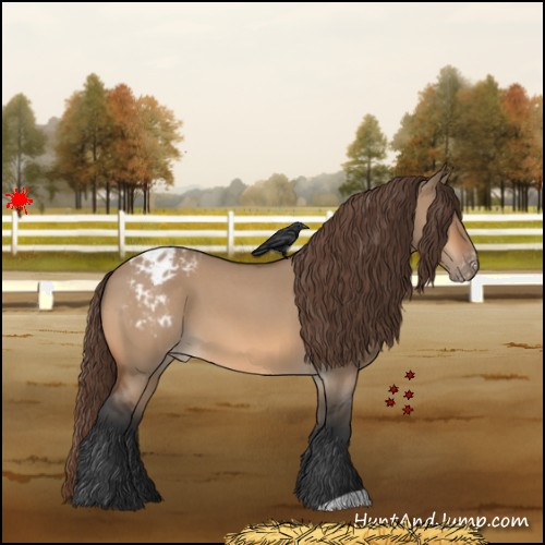 Horse Color:Bay Roan Dun Varnish
