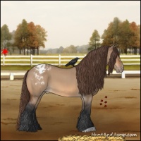 Horse Color:Bay Roan Dun Varnish