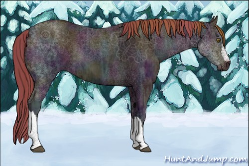 Horse Color:Midnight Liver Chestnut Ice Pearl